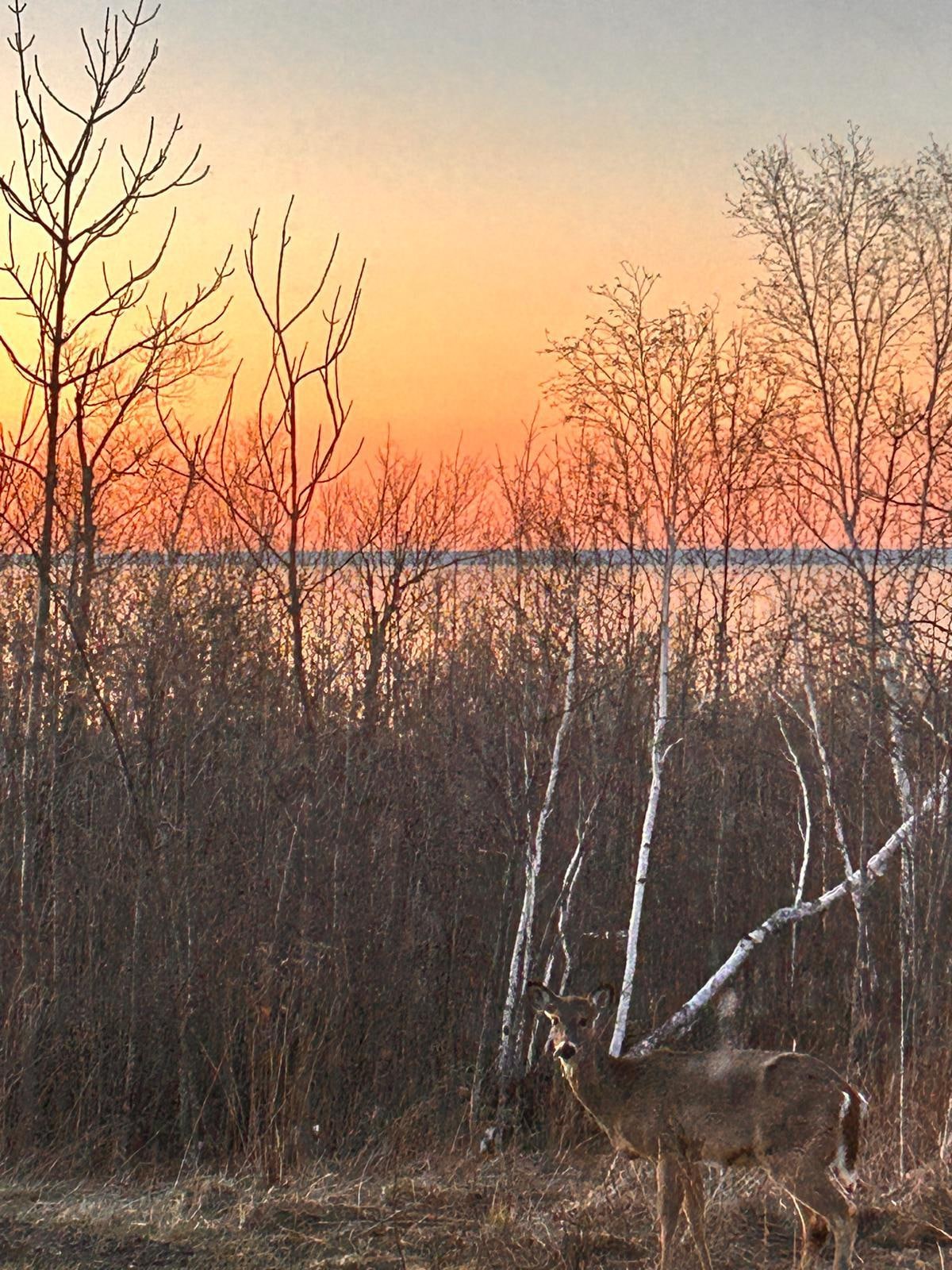 Daybreak from property!