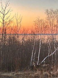 Daybreak from property!