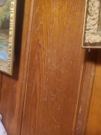 Mold on wall