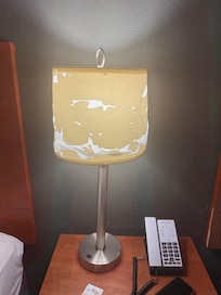 Pretty little lamp shade 🙄