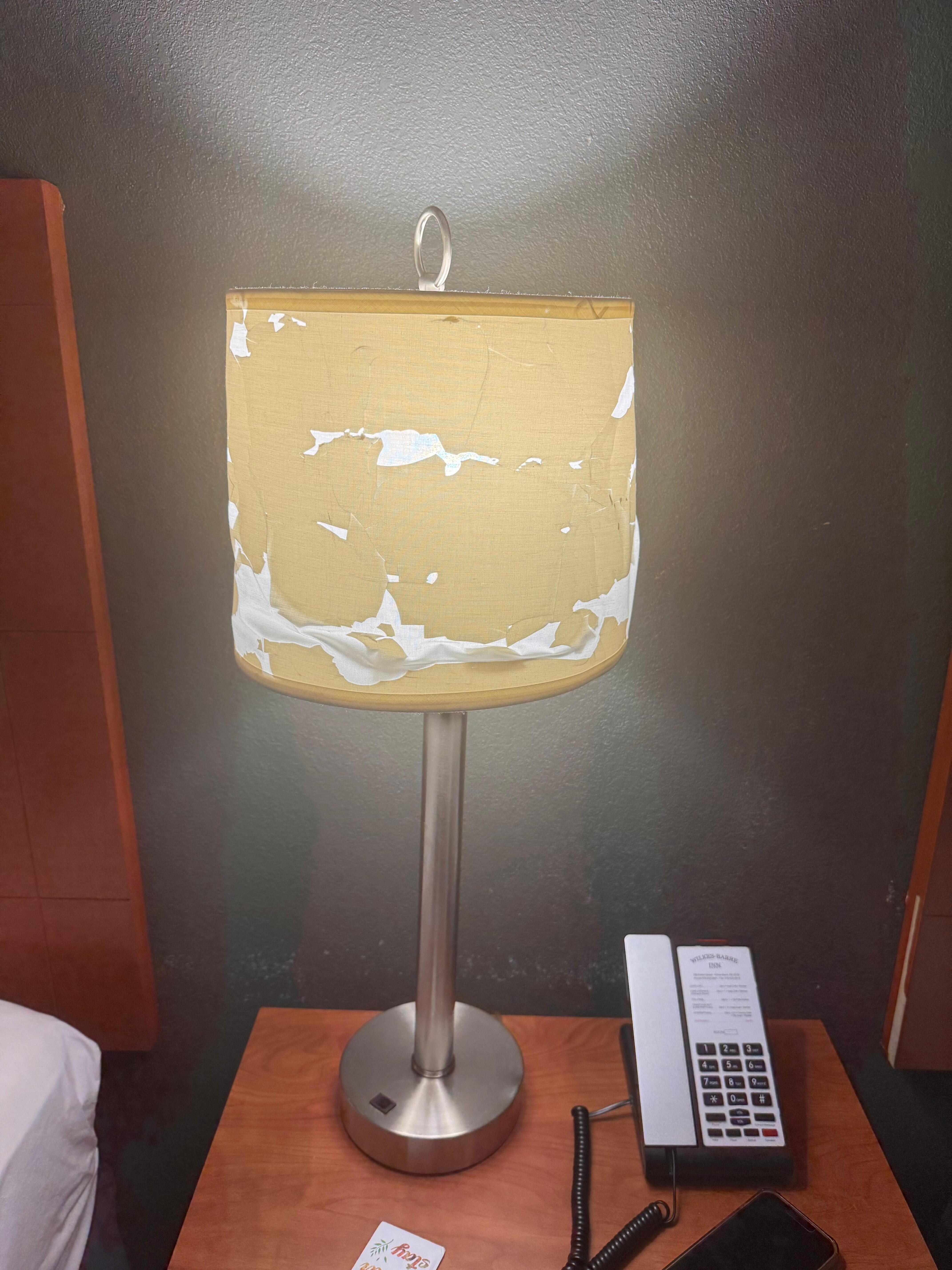 Pretty little lamp shade 🙄