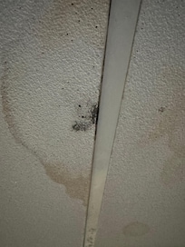 Mold