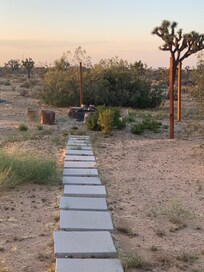 Giant weeds by hammock area.