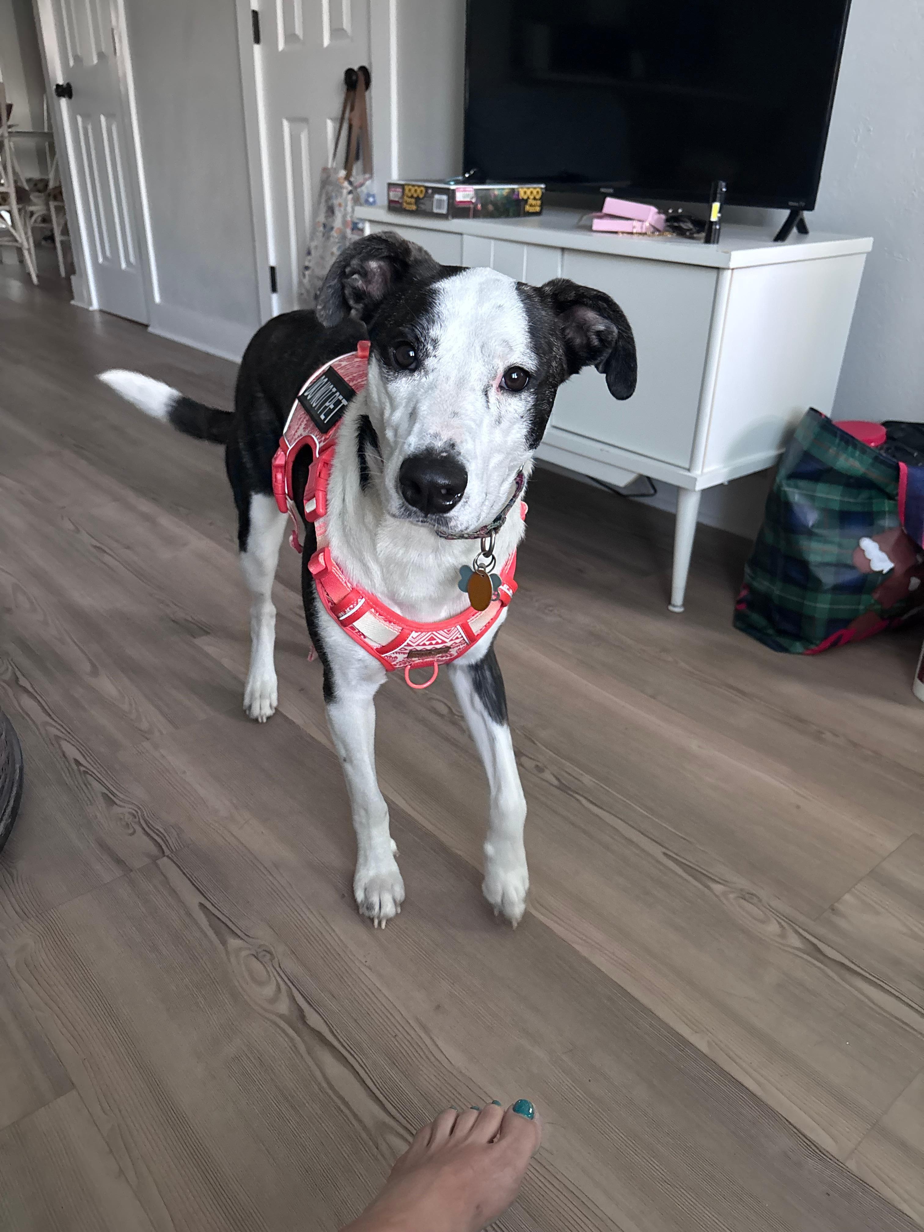 Billie loved her visit!!