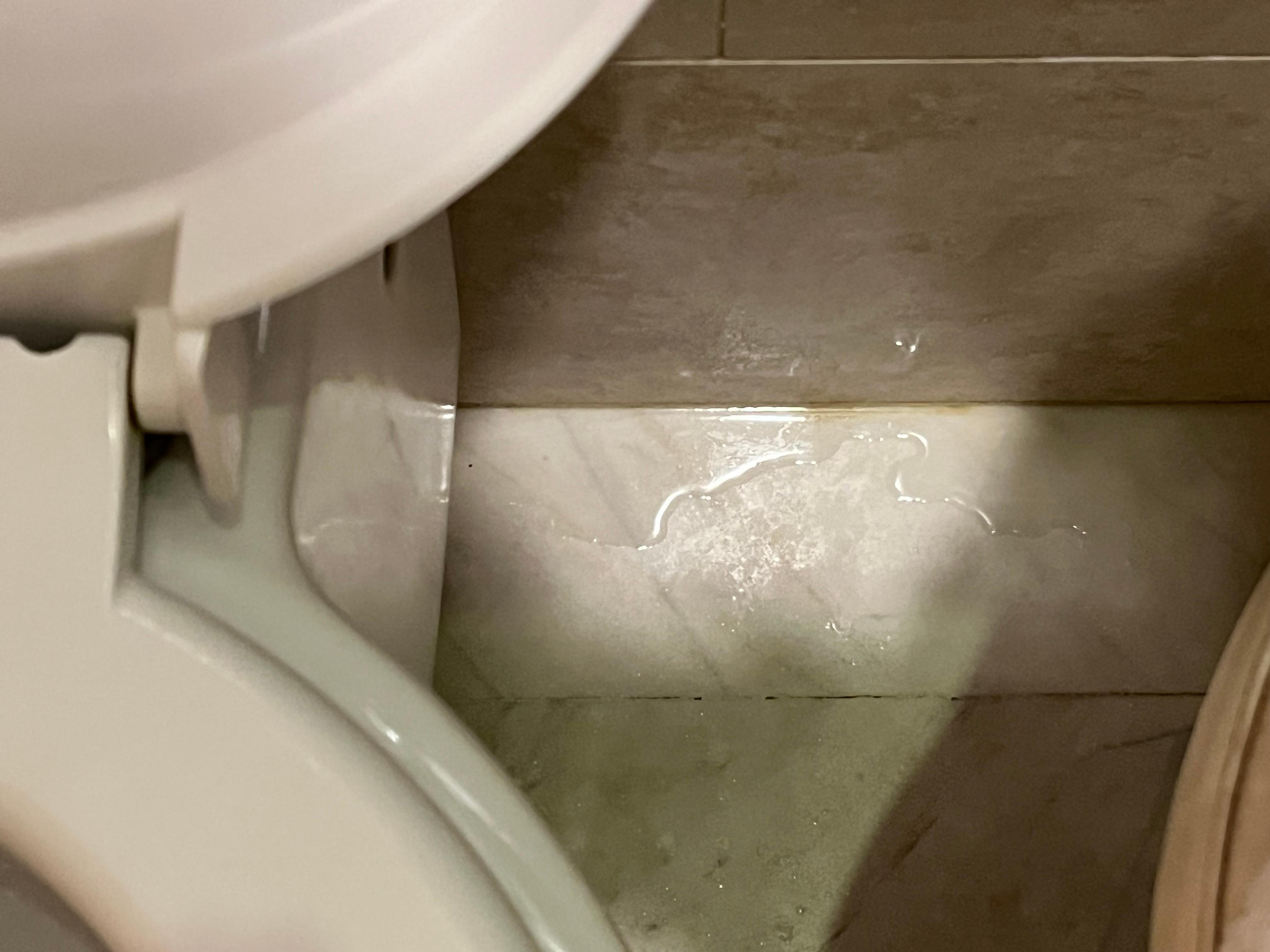 Leak under the sink. 