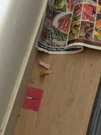 Trash and used bandaid