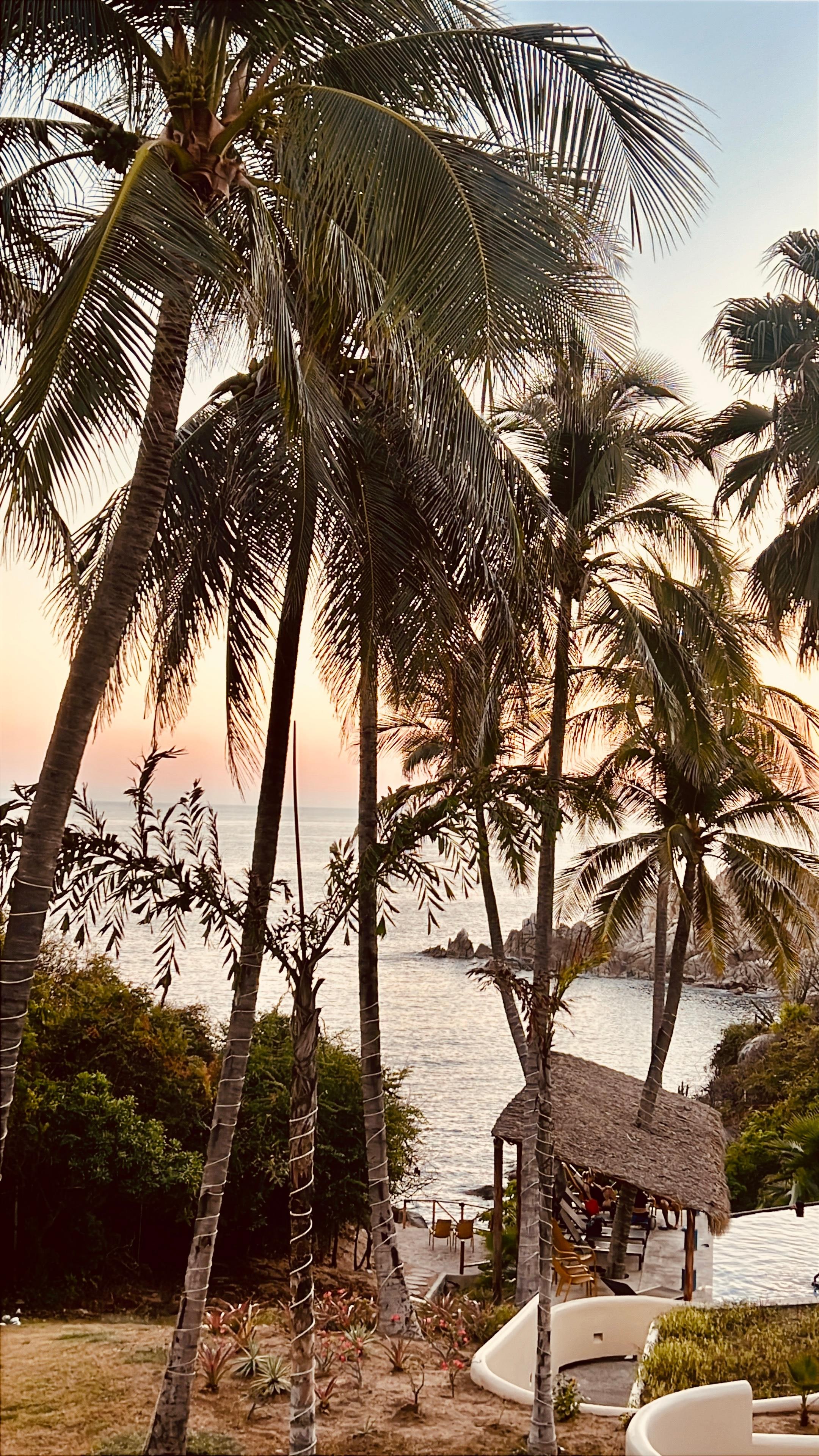 Vista desde la habitación 313