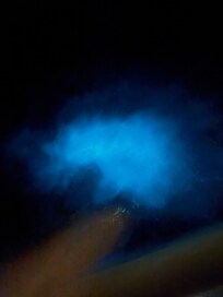 Bioluminescent Water