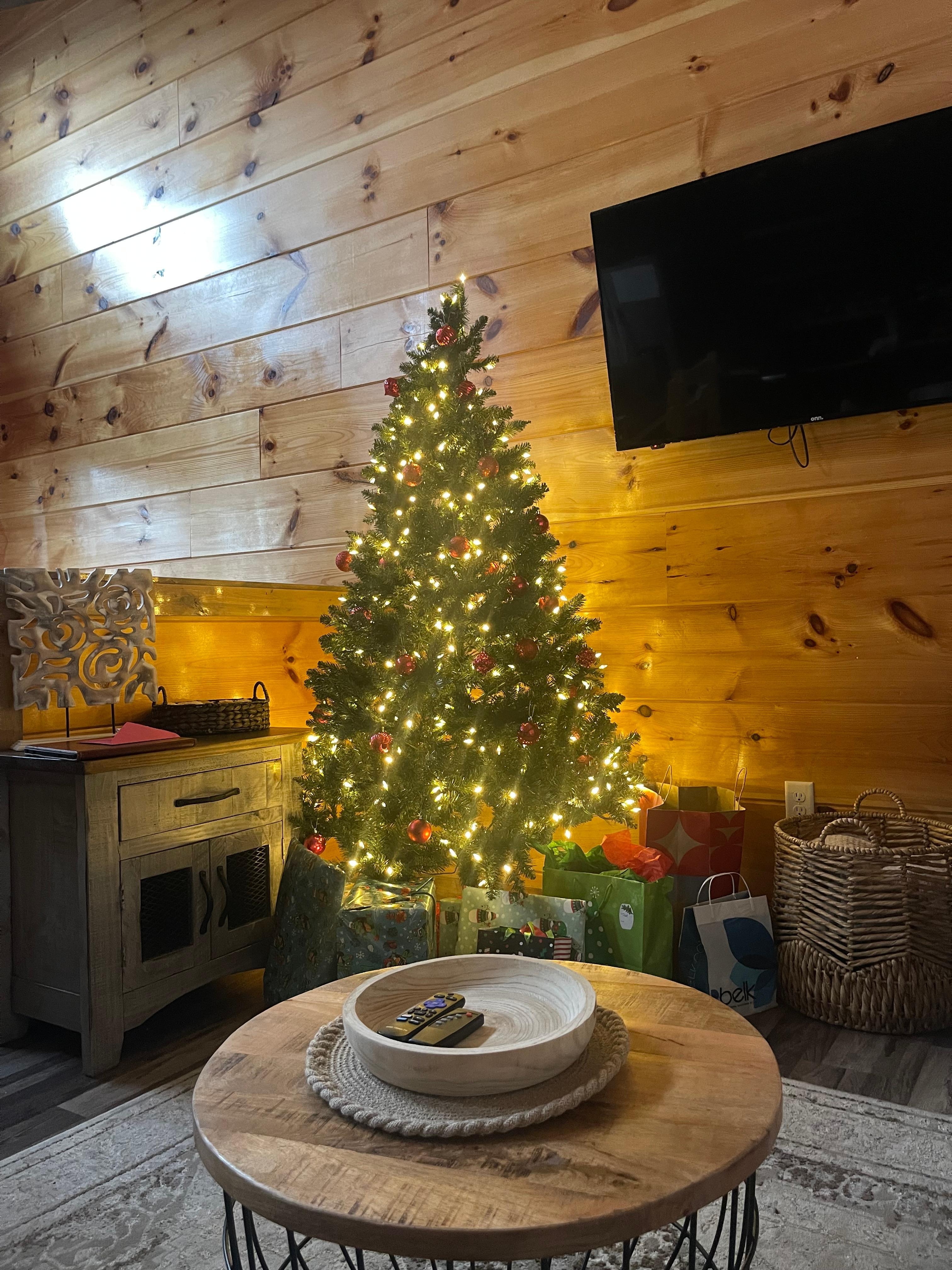 We stayed Christmas week and appreciated having a tree!