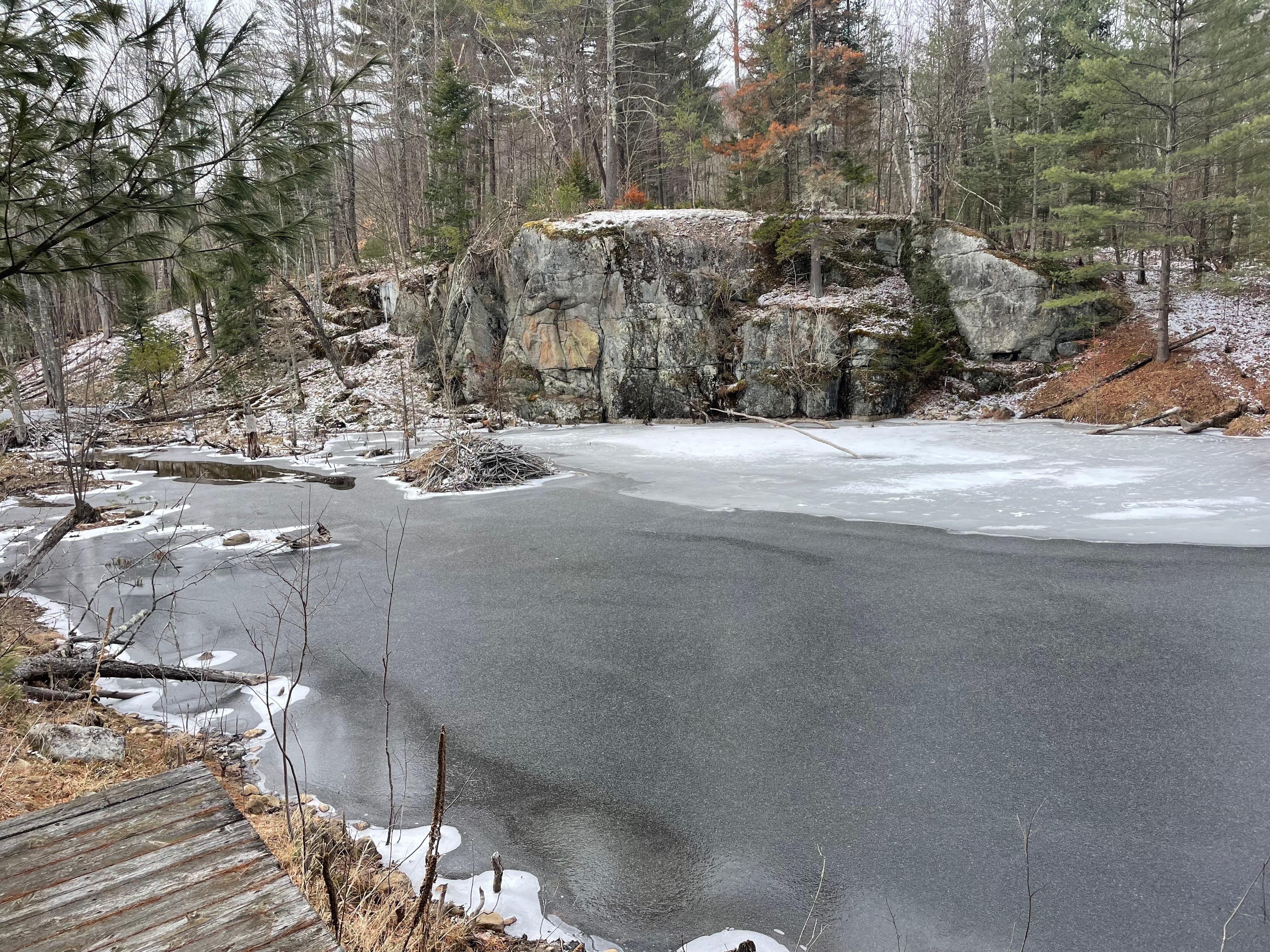 The beaver pond on the property!