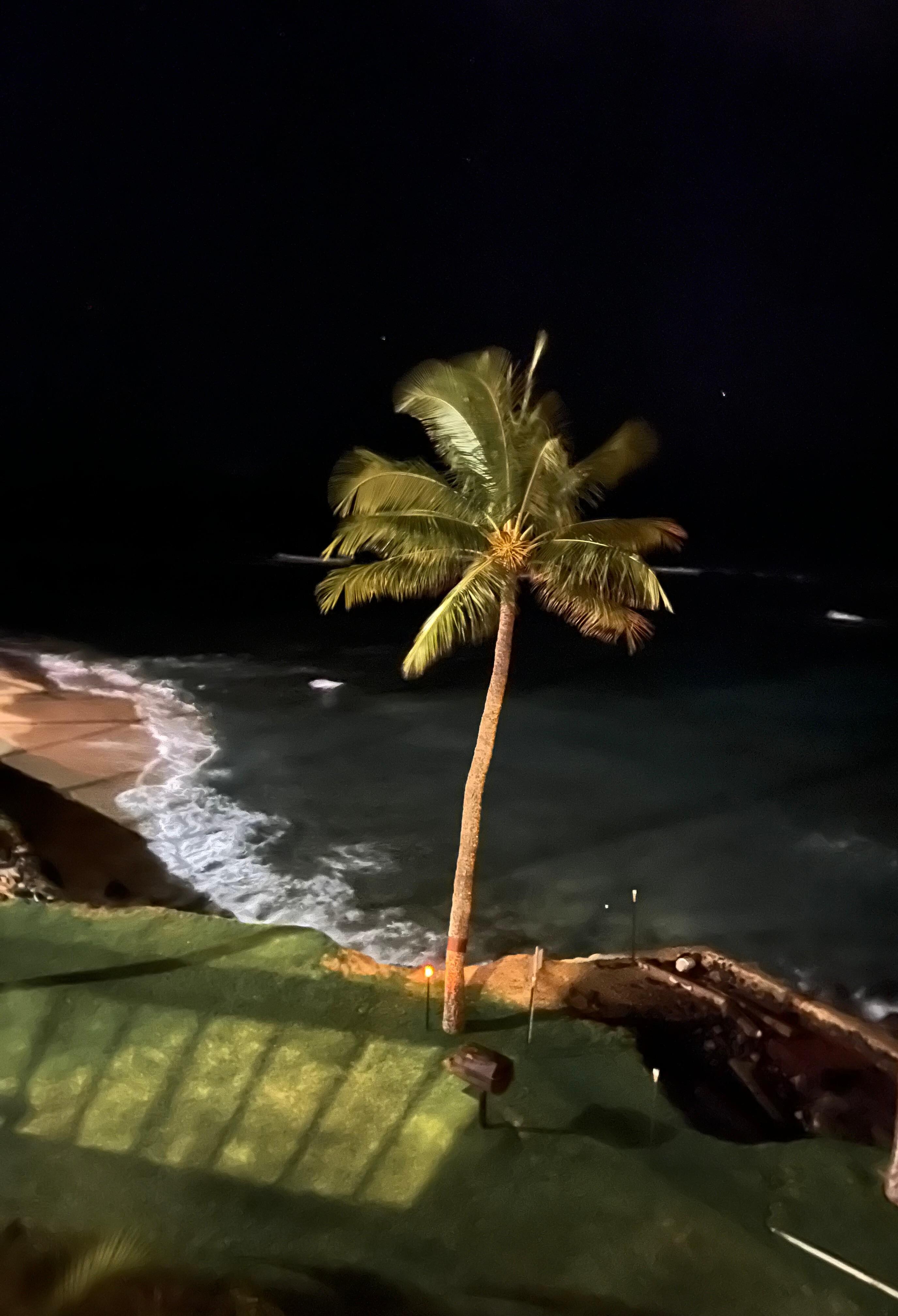 Evening shot from the lanai