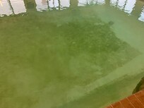 Pool Condition on July 5th
