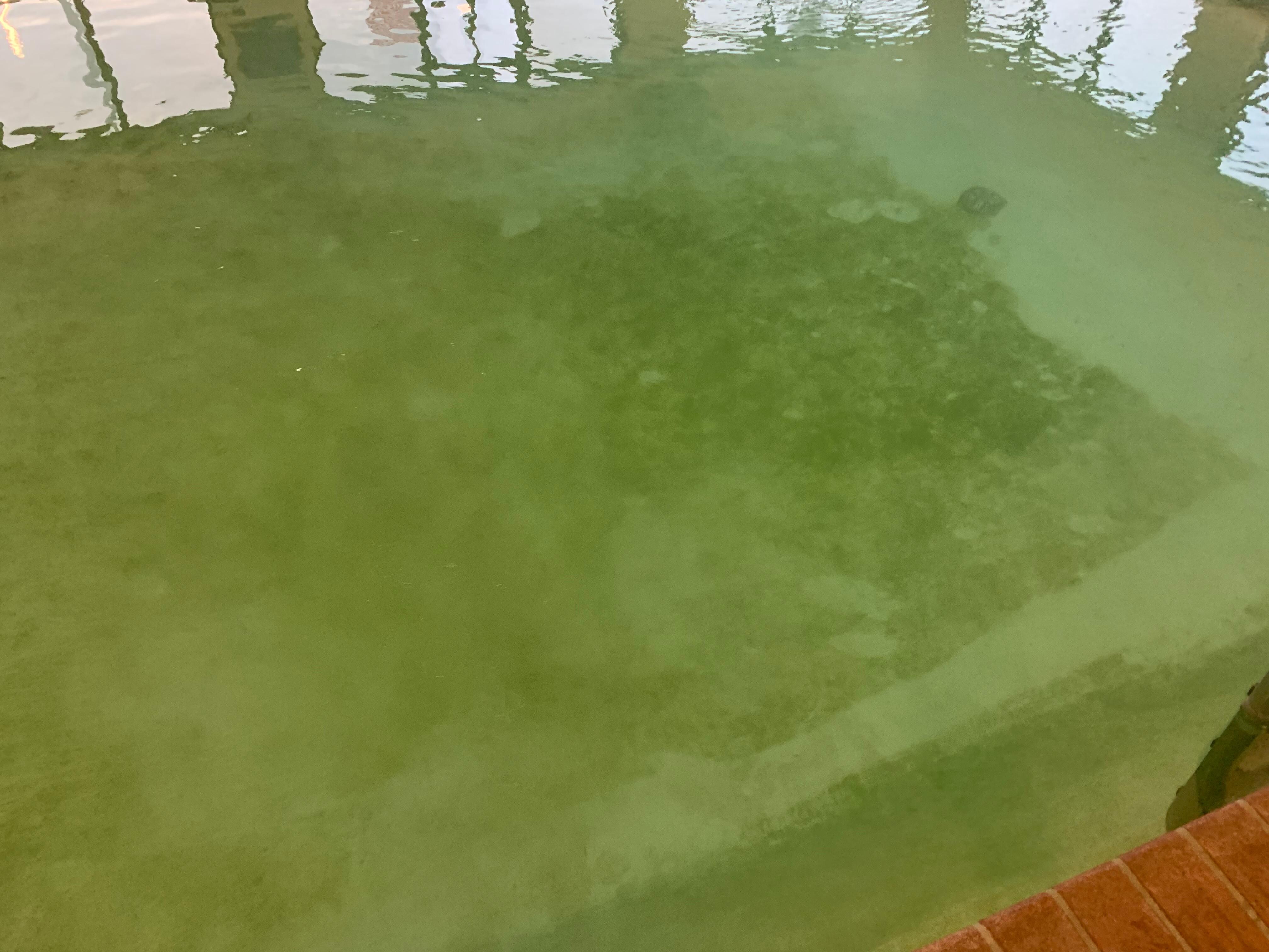 Pool Condition on July 5th