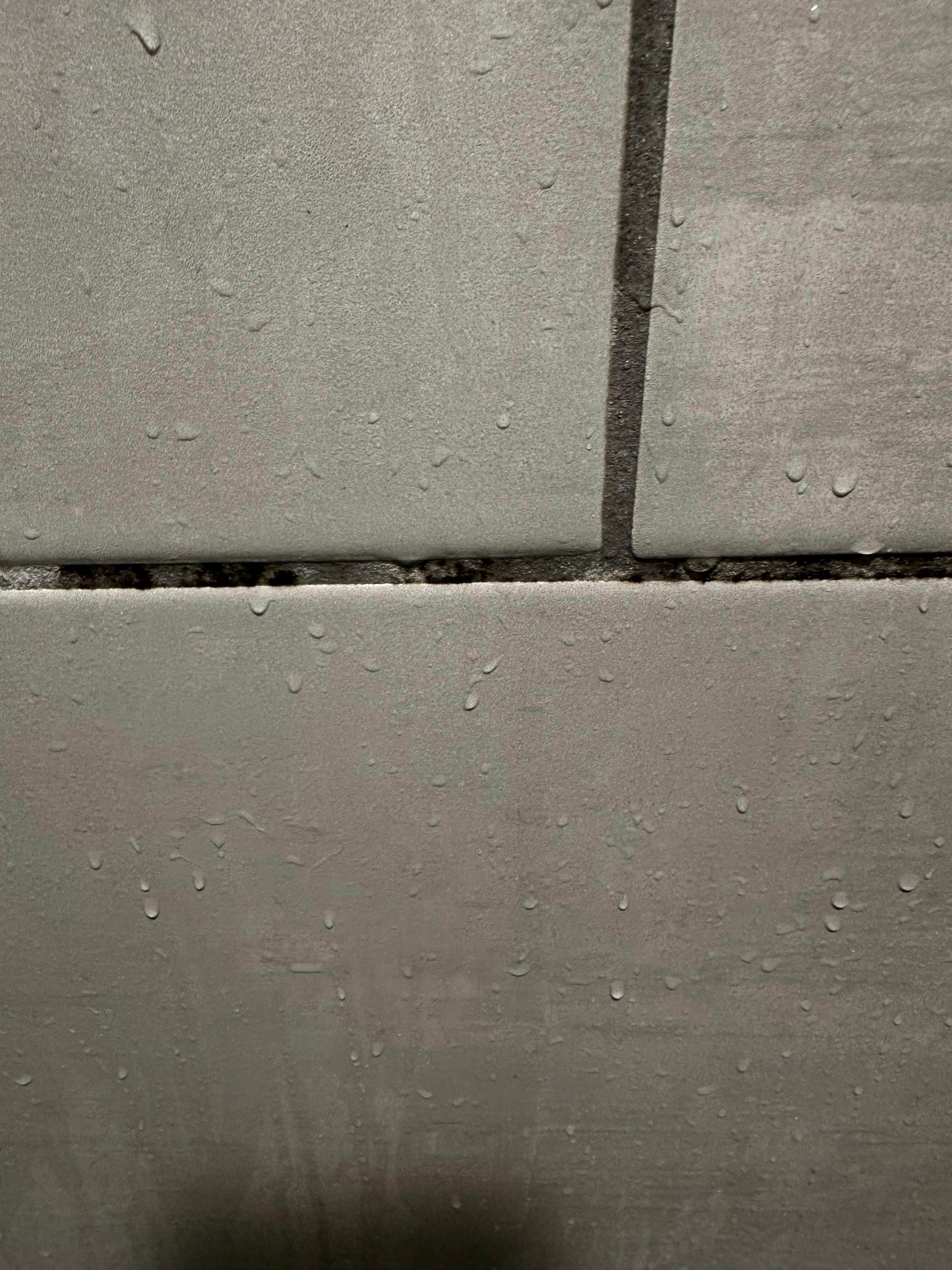 Mold