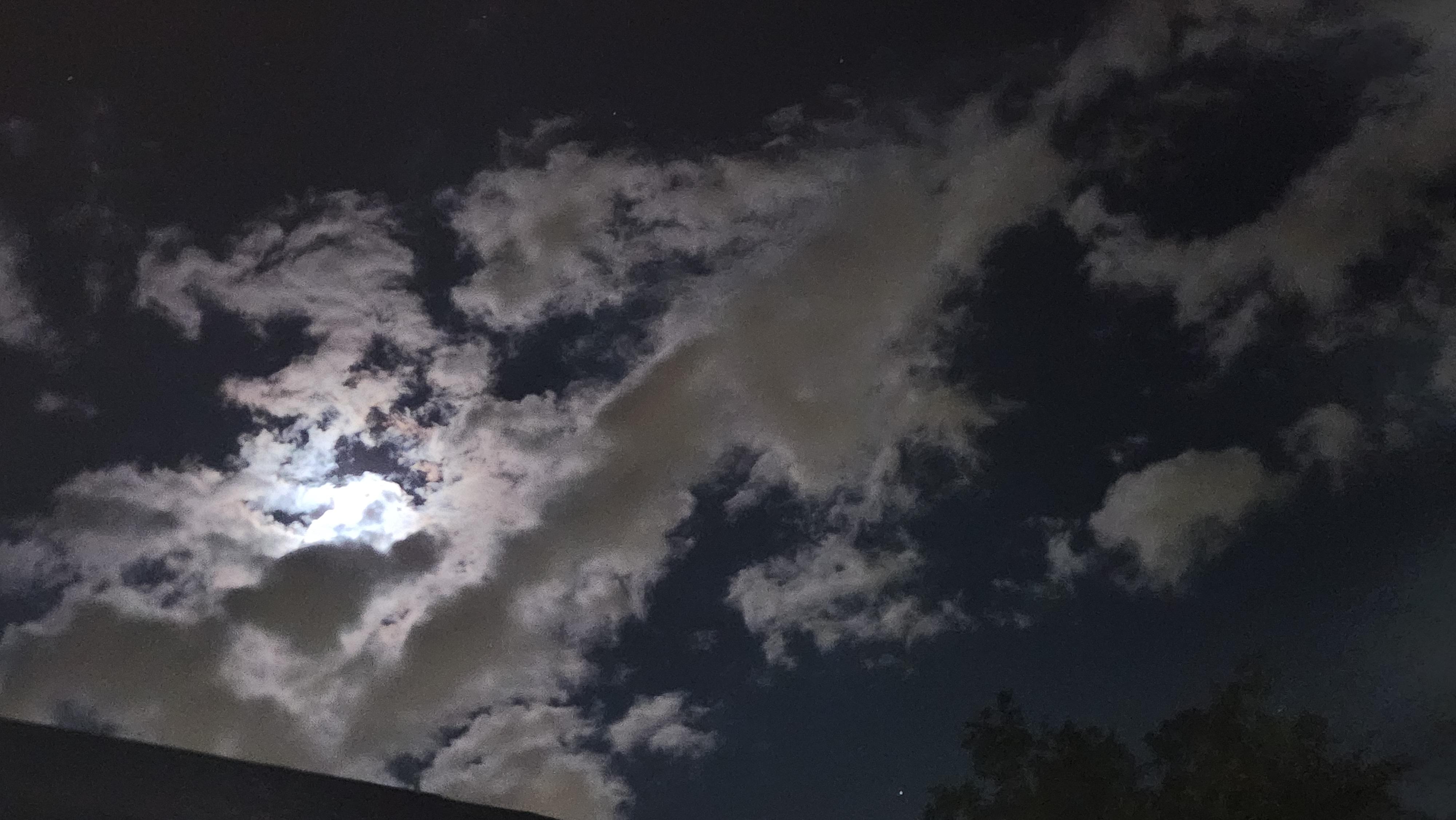 Another view from the hot tub