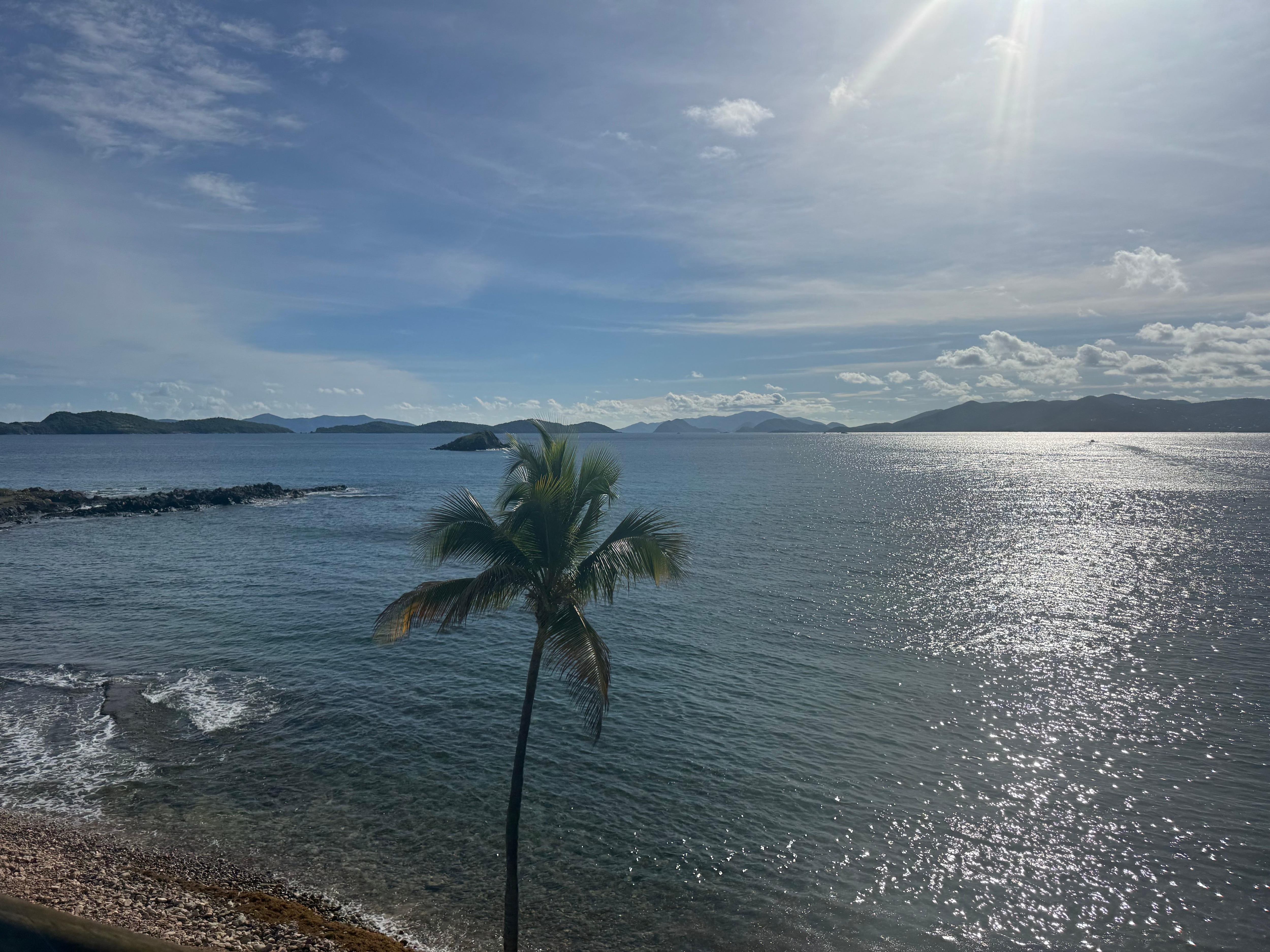 Everyday view 