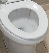 Unclean toilet