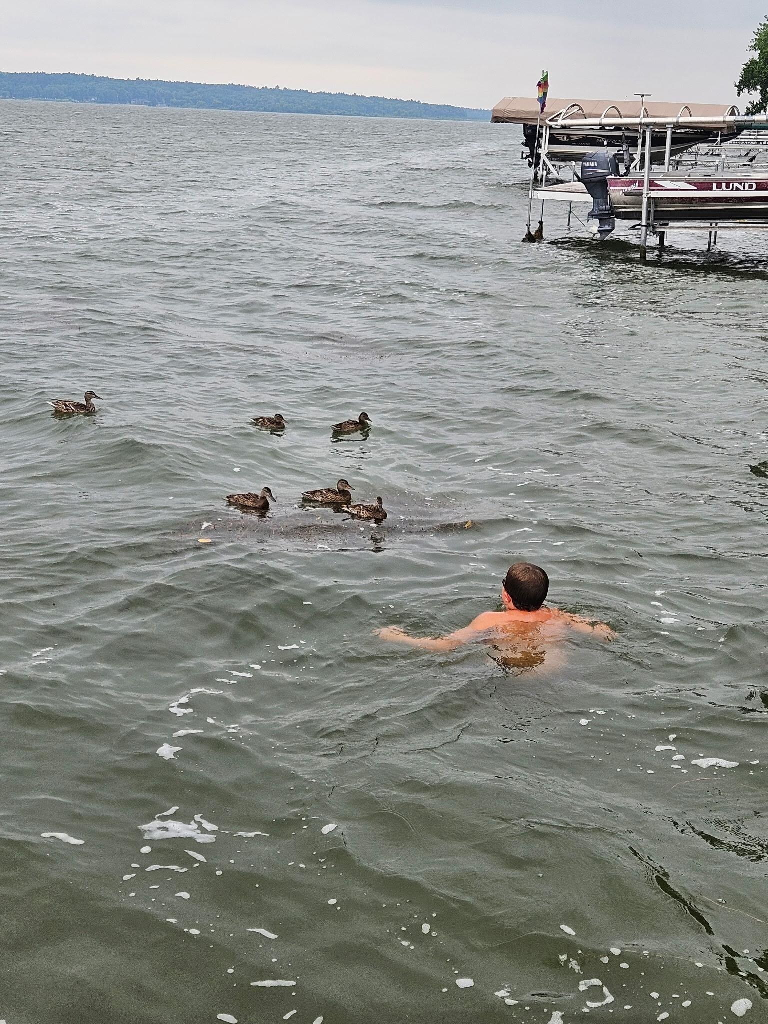 Swimming with the ducks