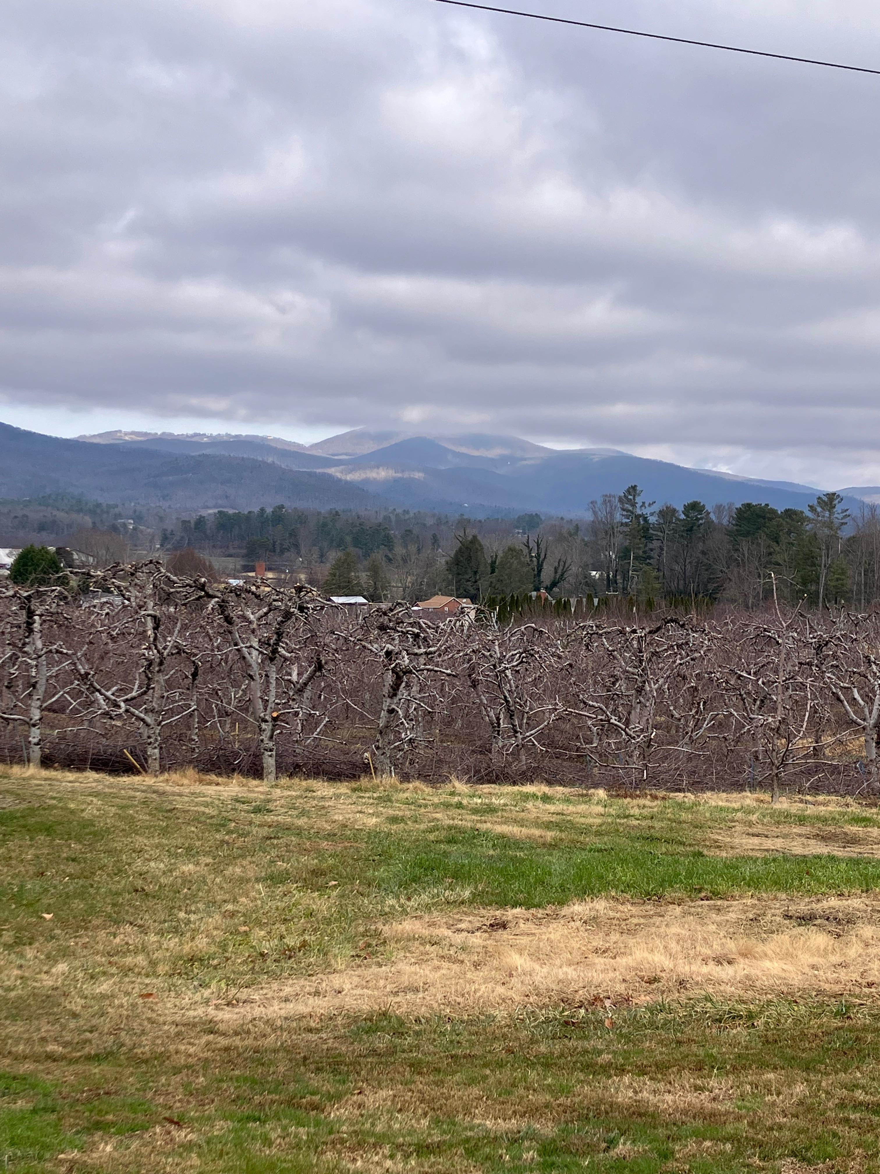 The view from the porch mid-winter
