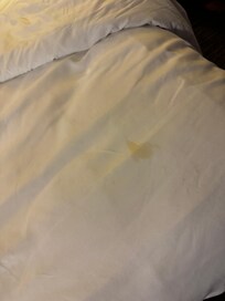 Delicious yellow crusty mystery stain 🤦🏻♀️