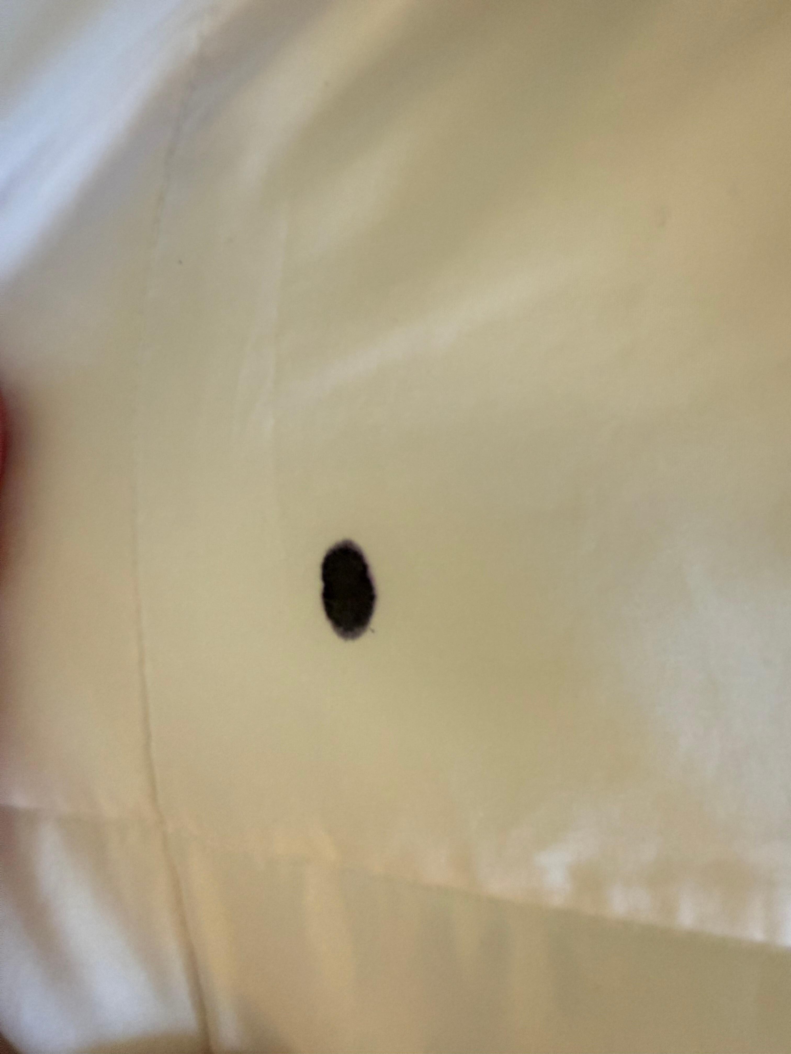 Mystery stain on the comforter.