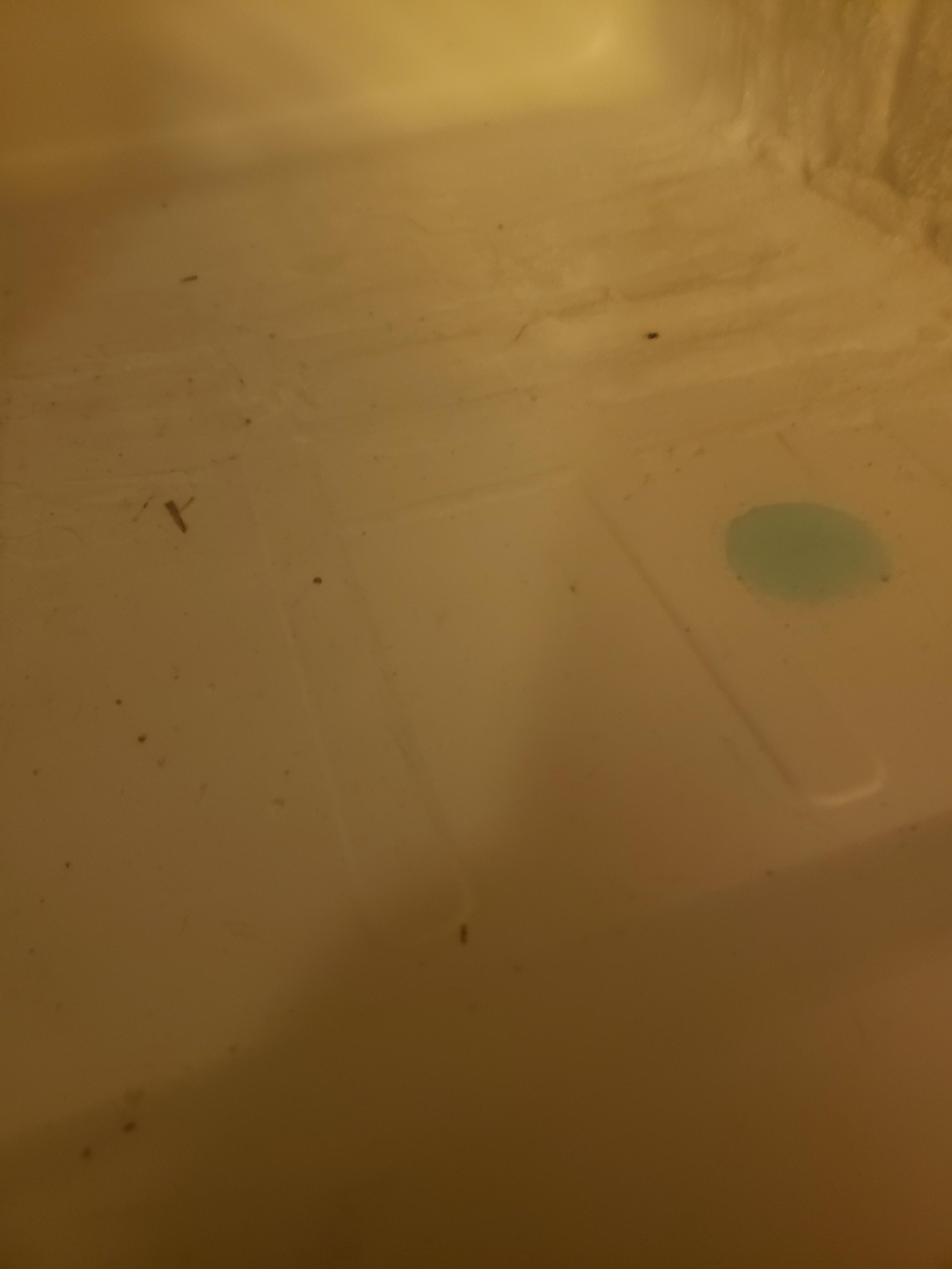 Visibly dirty fridge