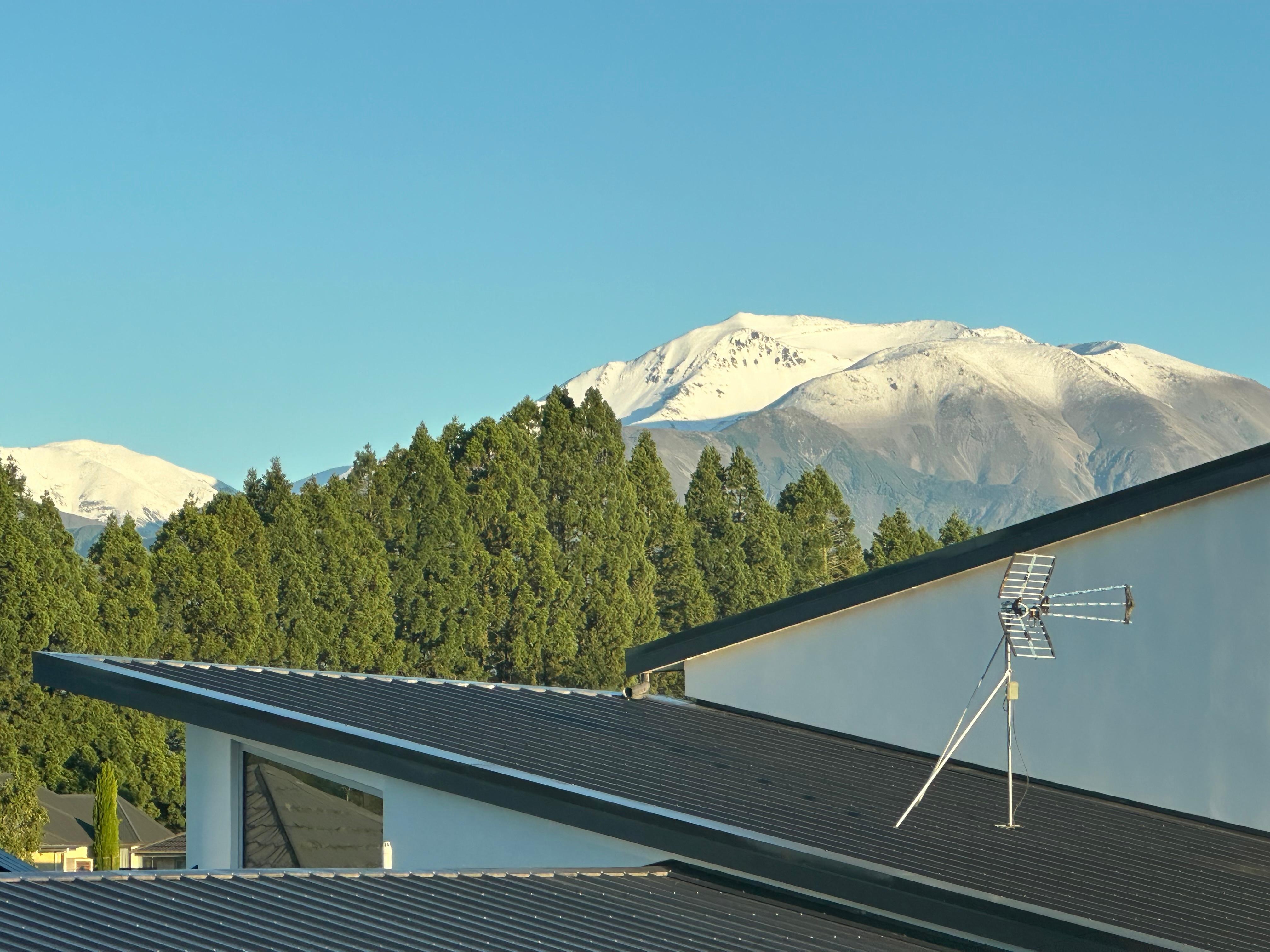 Summer storm day before no view woke up to this