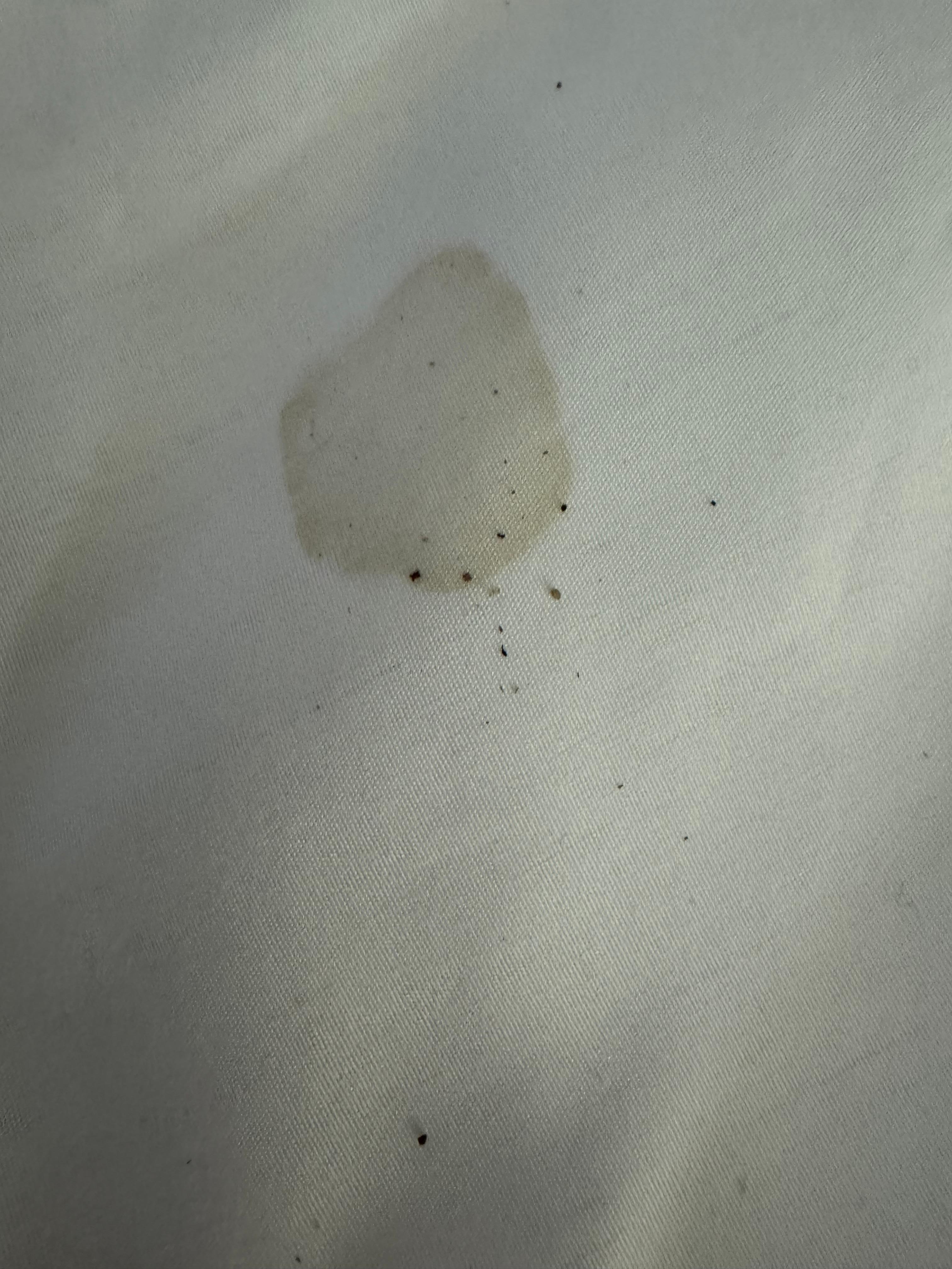 Bro n stains on the top sheet with what appeared to be coffee grounds?