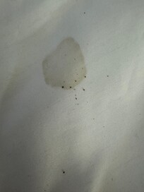 Bro n stains on the top sheet with what appeared to be coffee grounds?