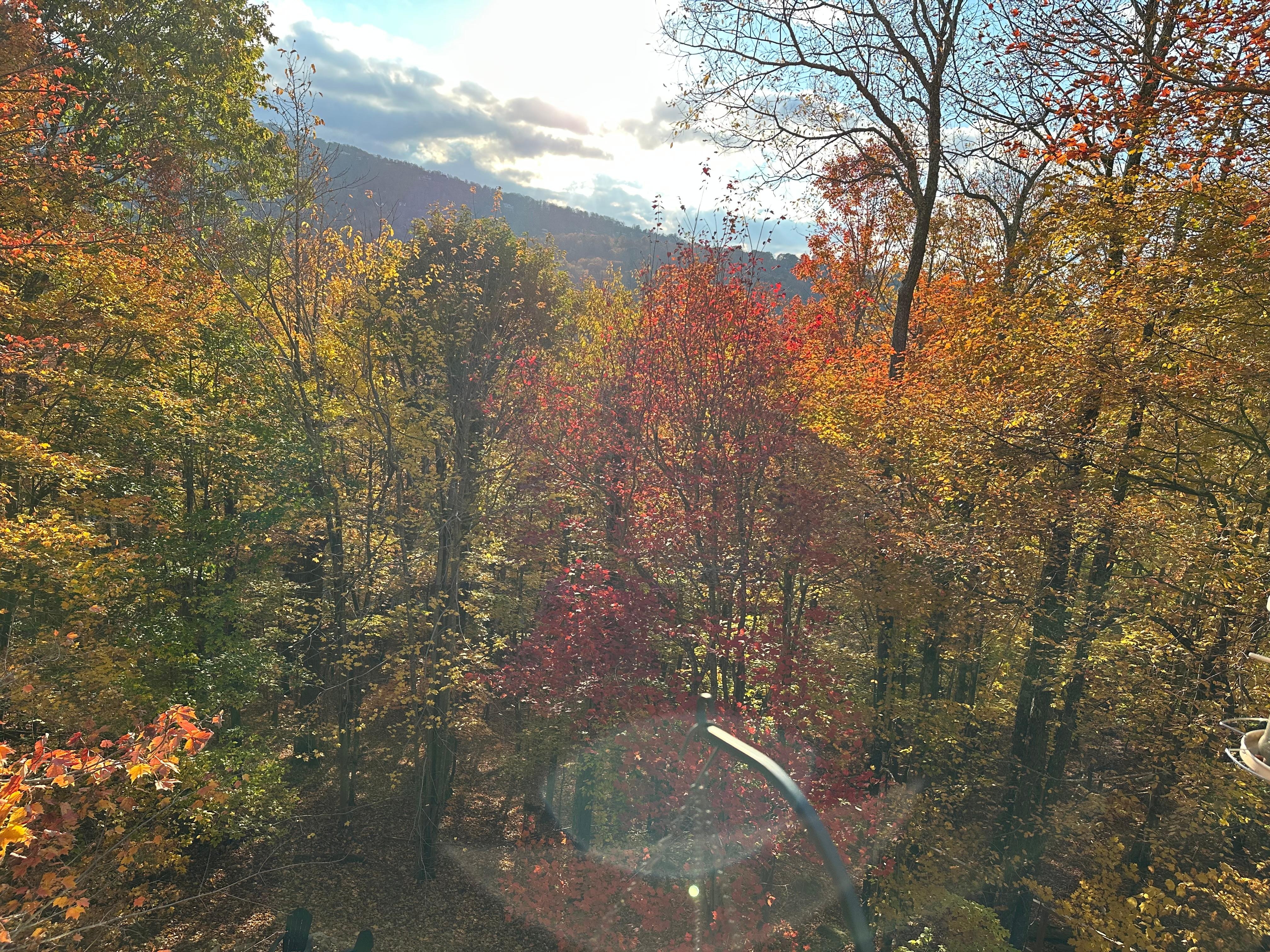 View from back of house 