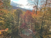 View from back of house