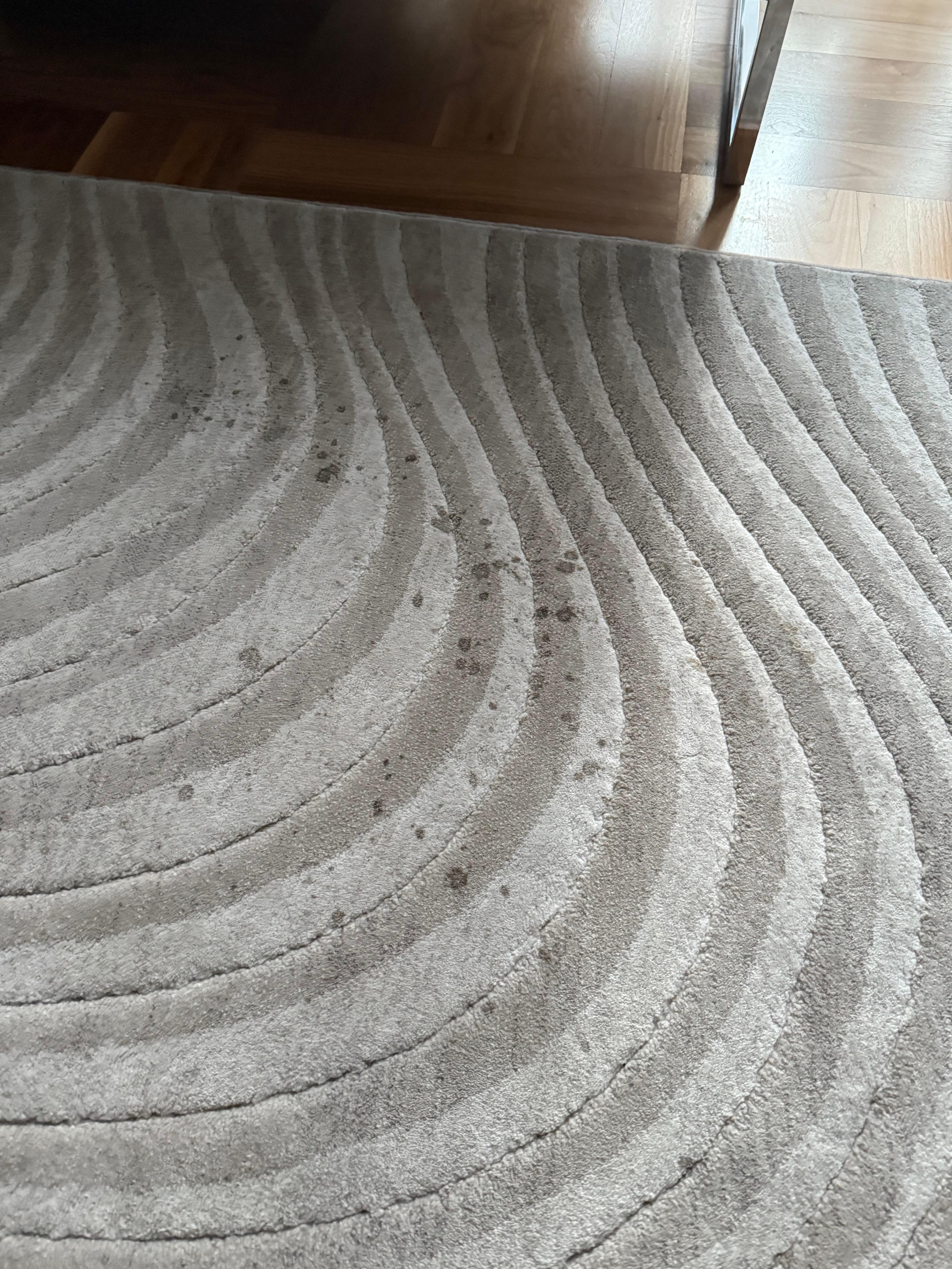 This is the living room rug, full of stains and the one in the master was too