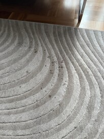 This is the living room rug, full of stains and the one in the master was too