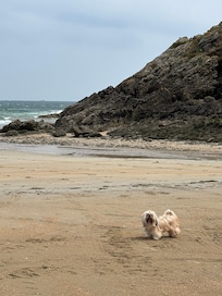 bord de Rance
