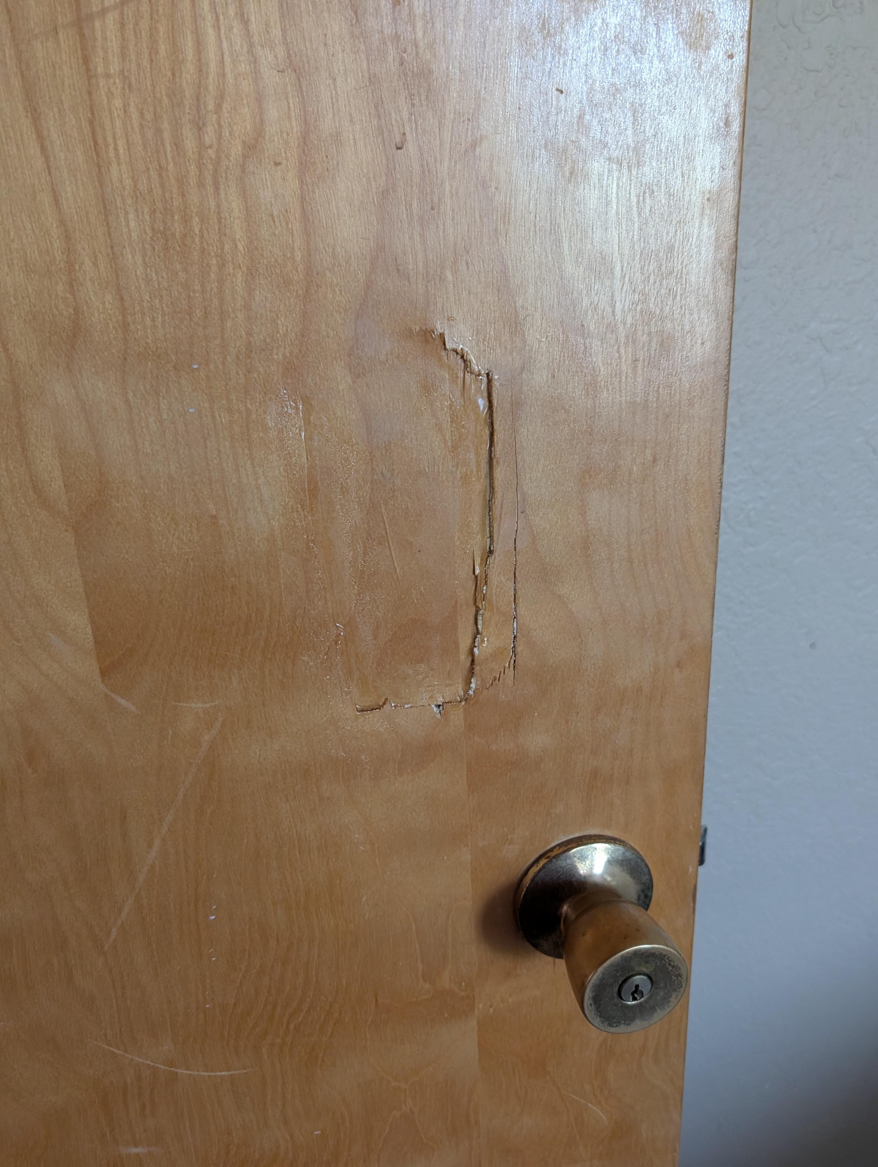 This door looks like it was punched 