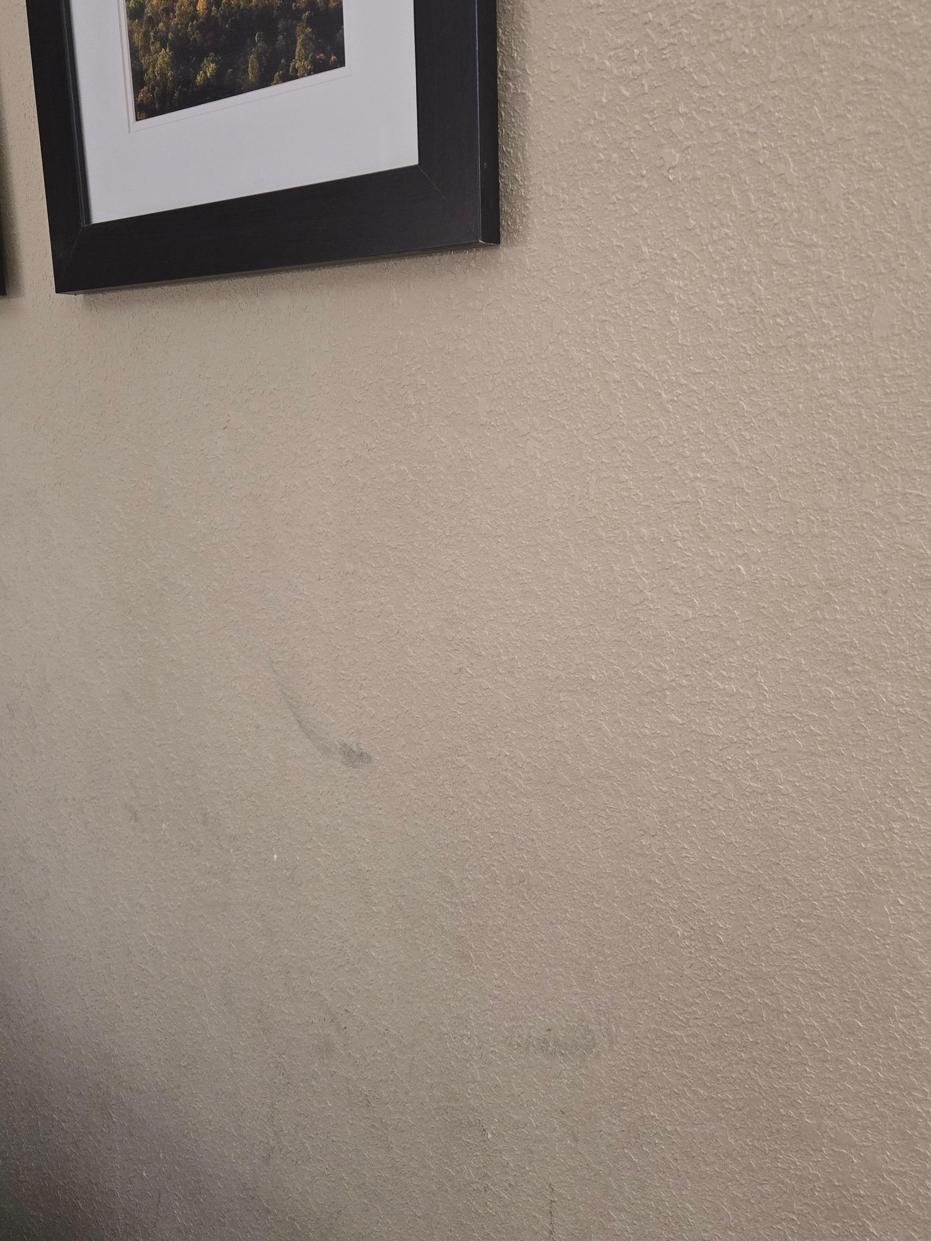 The walls were all scuffed and dirty