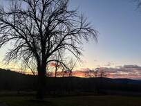 Sun rise over the apple orchard ✨