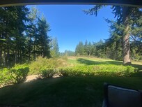 View from the back patio.