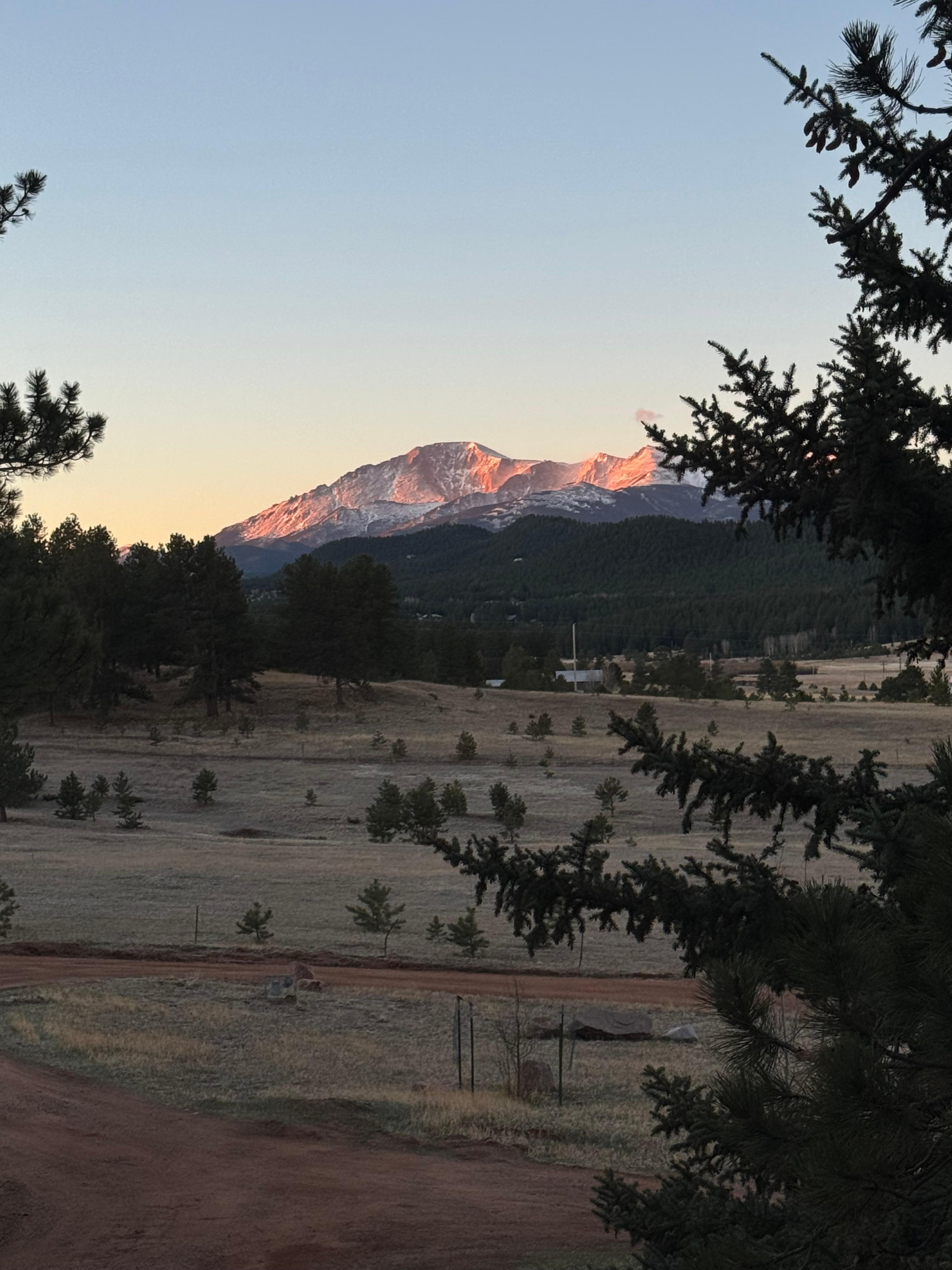 View out front window shortly after sunrise.