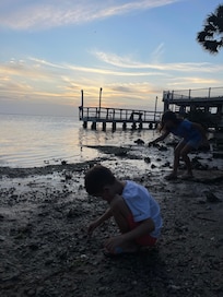 Hunting hermit crabs