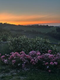 The view from the garden