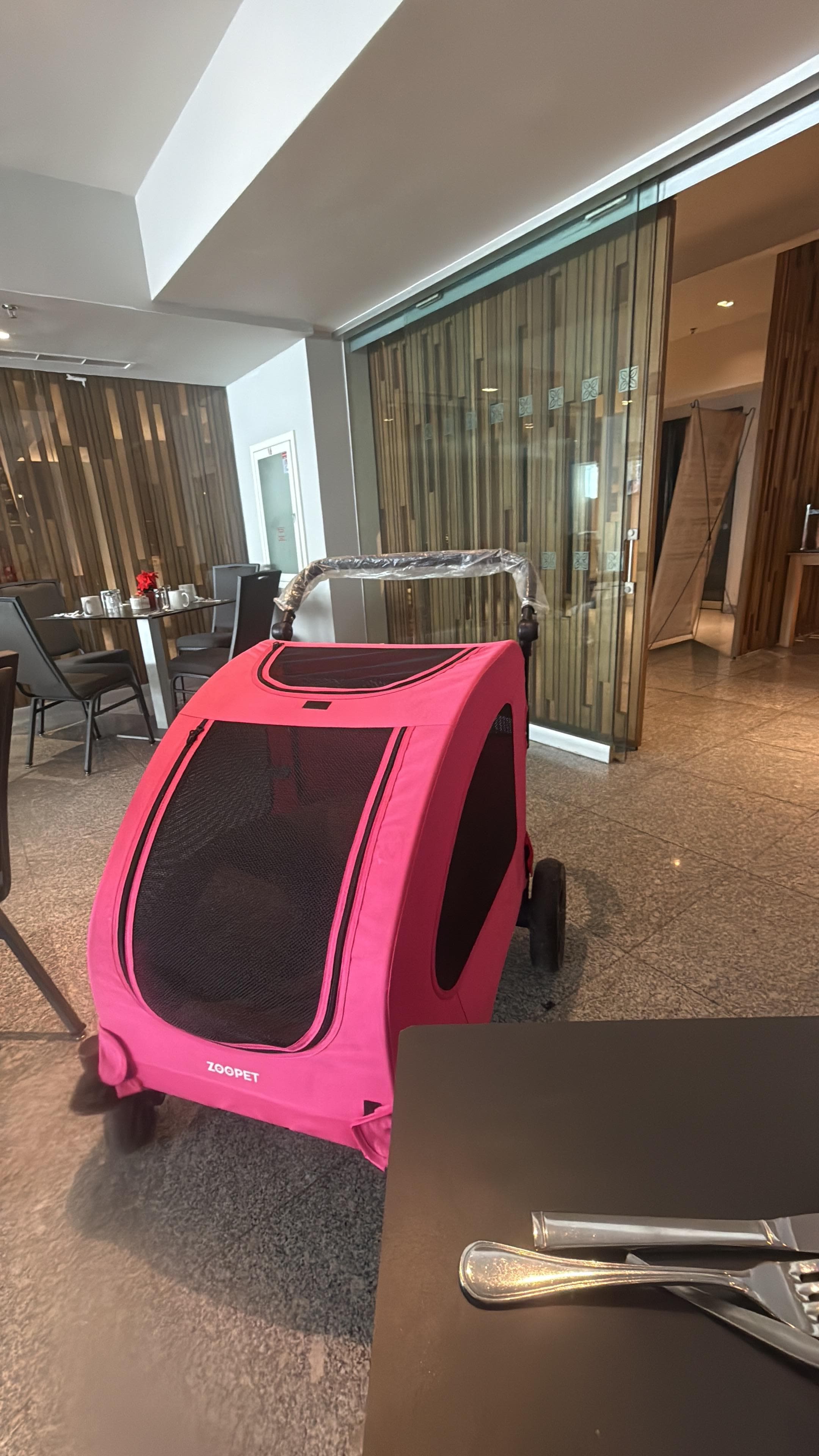 en las áreas comunes no está permitido a menos que permanezca en el kennel en todo momento sin ladrar o perturbar la paz de los demas