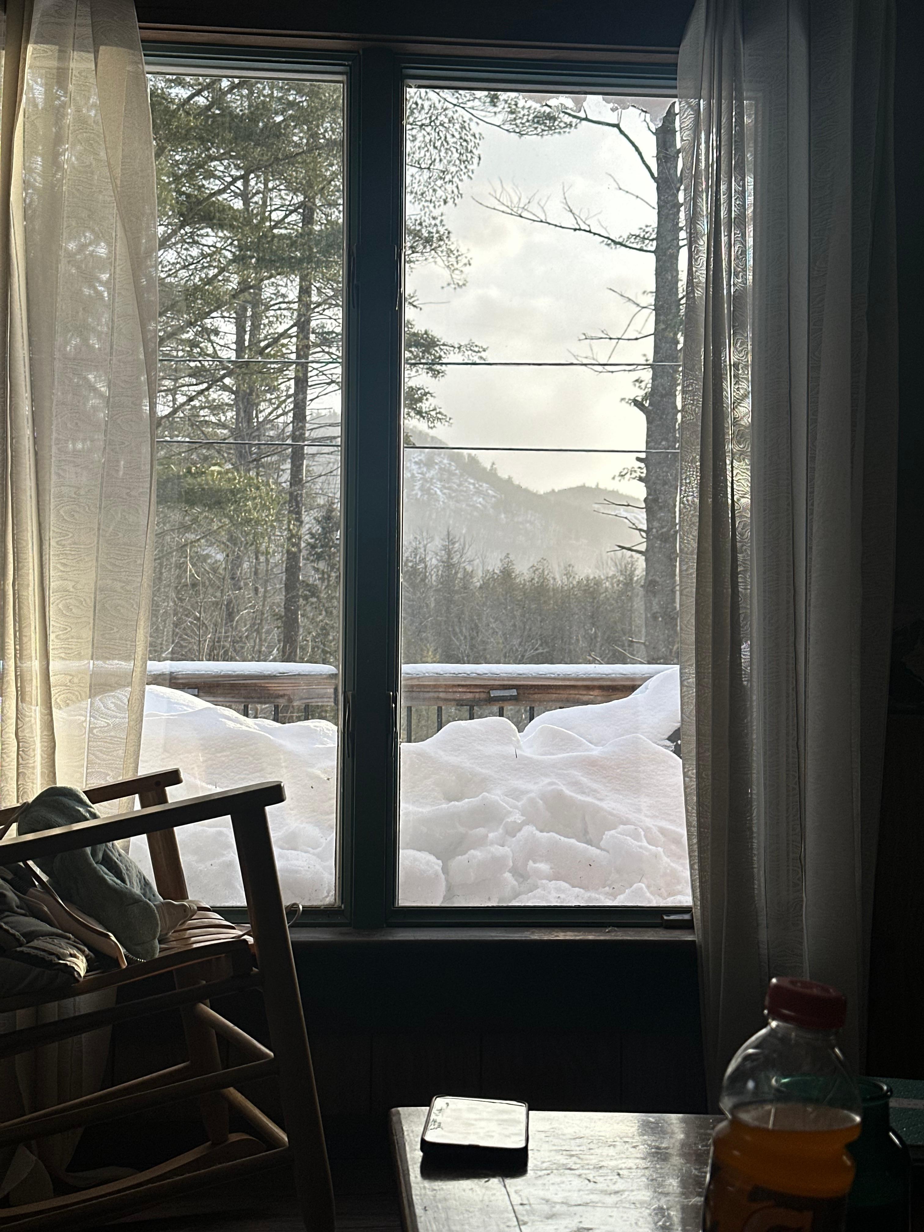 View from the window in the living room!