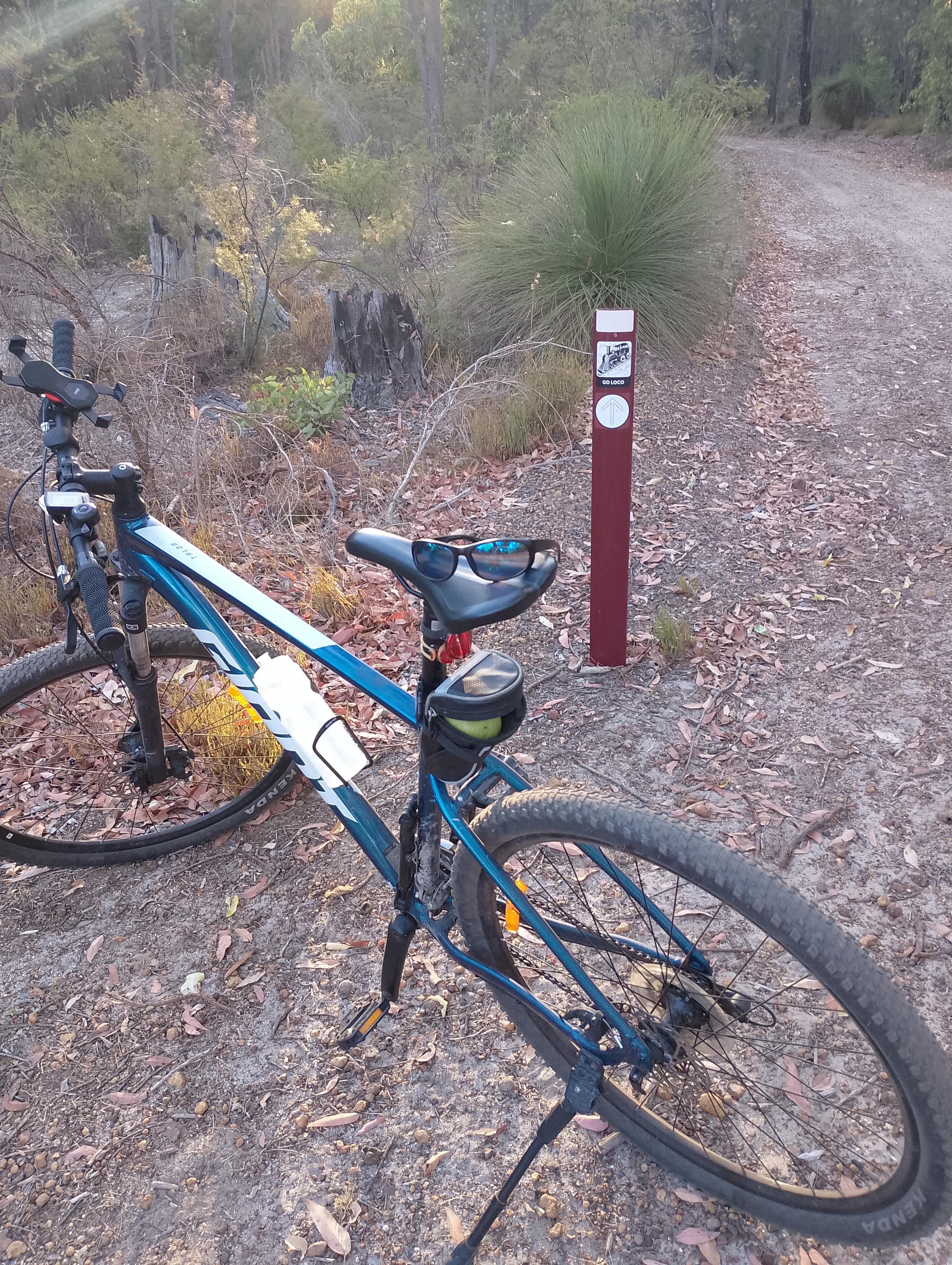Surrounded by awesome bike tracks 