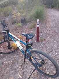 Surrounded by awesome bike tracks