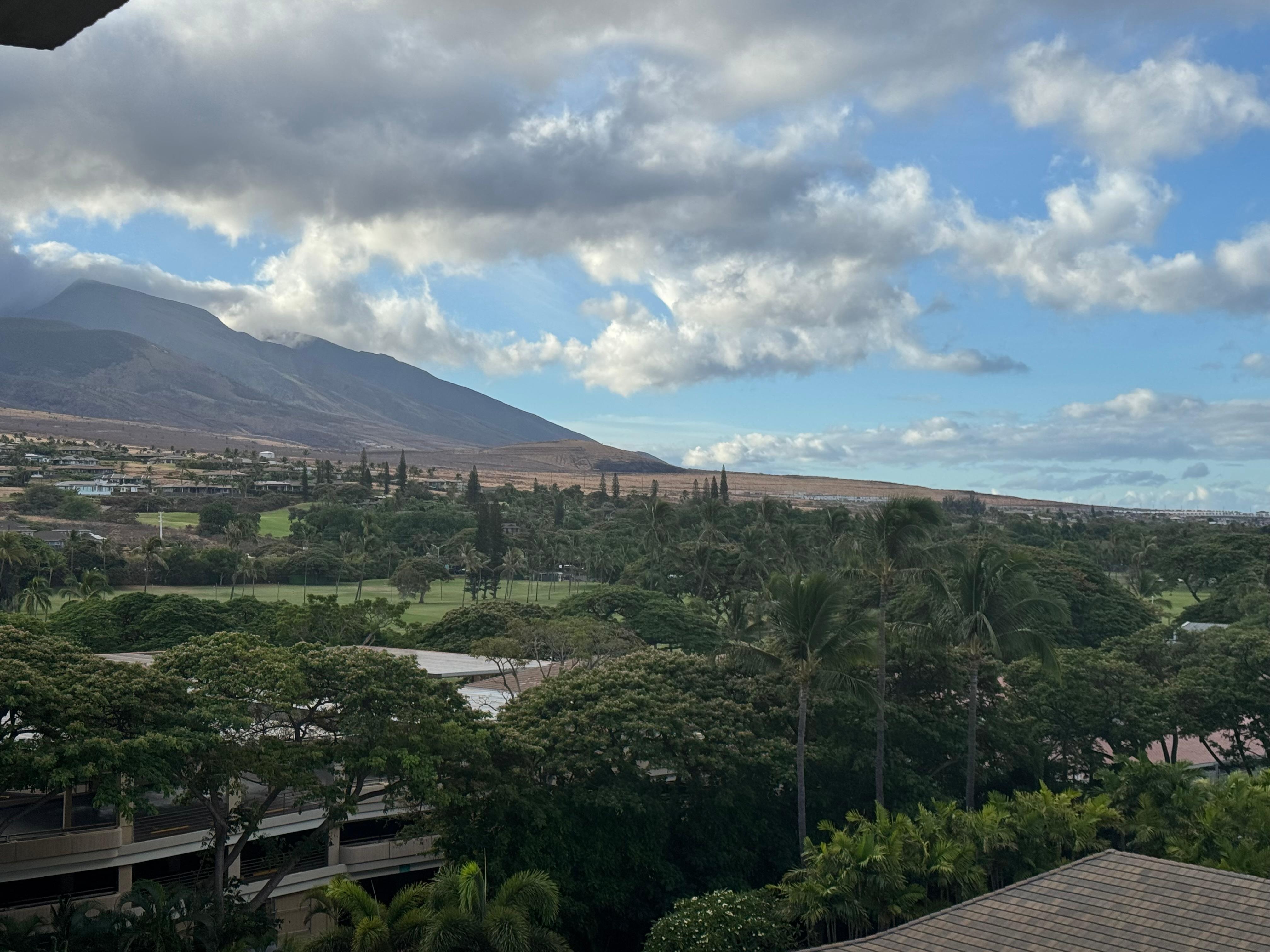 View toward moubtains