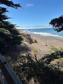 Picturesque monterey pines and costal views