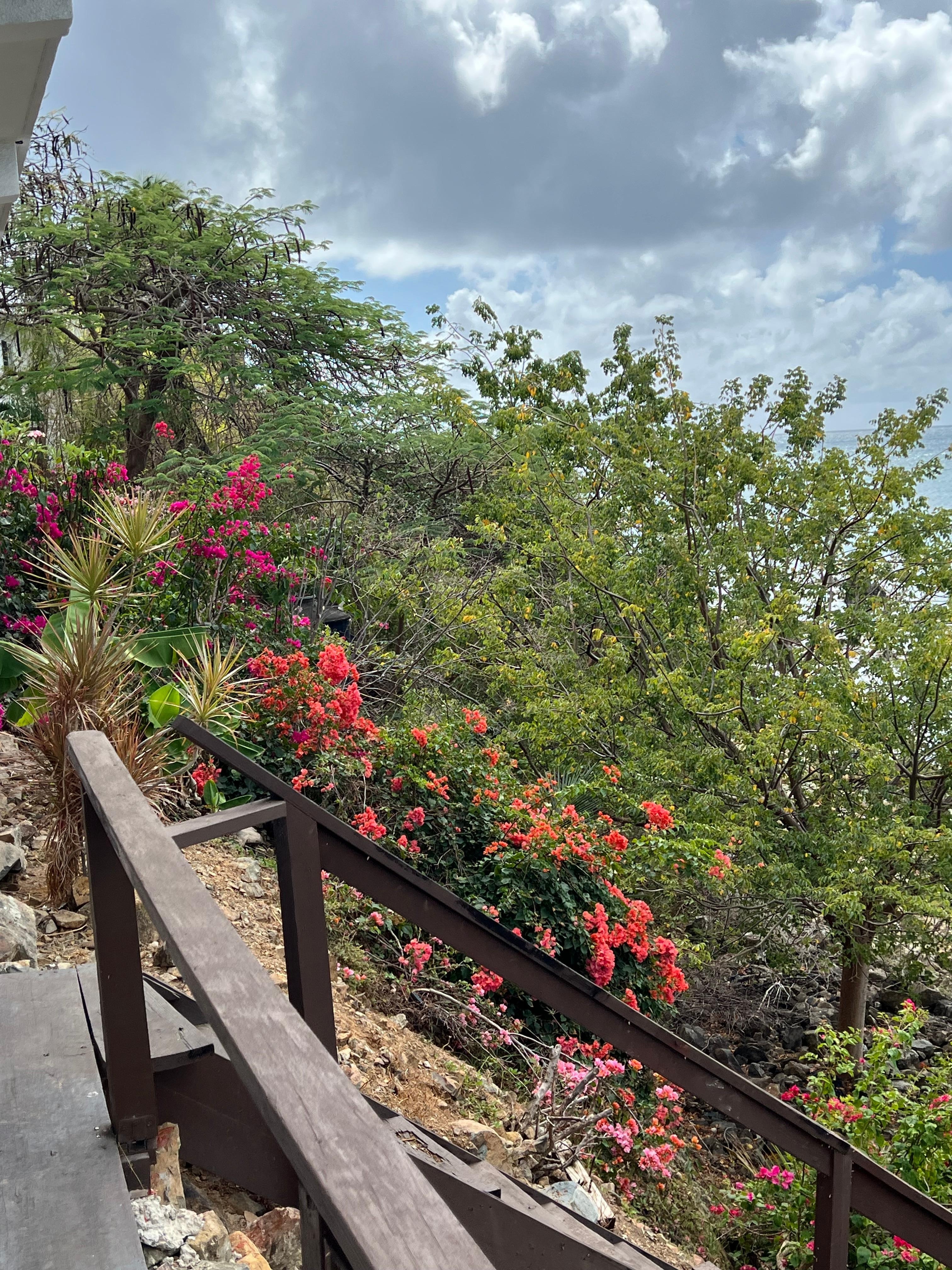 Stairway down the beach, very pretty surroundings.
