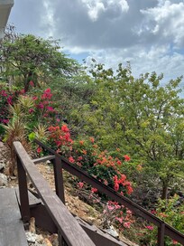 Stairway down the beach, very pretty surroundings.