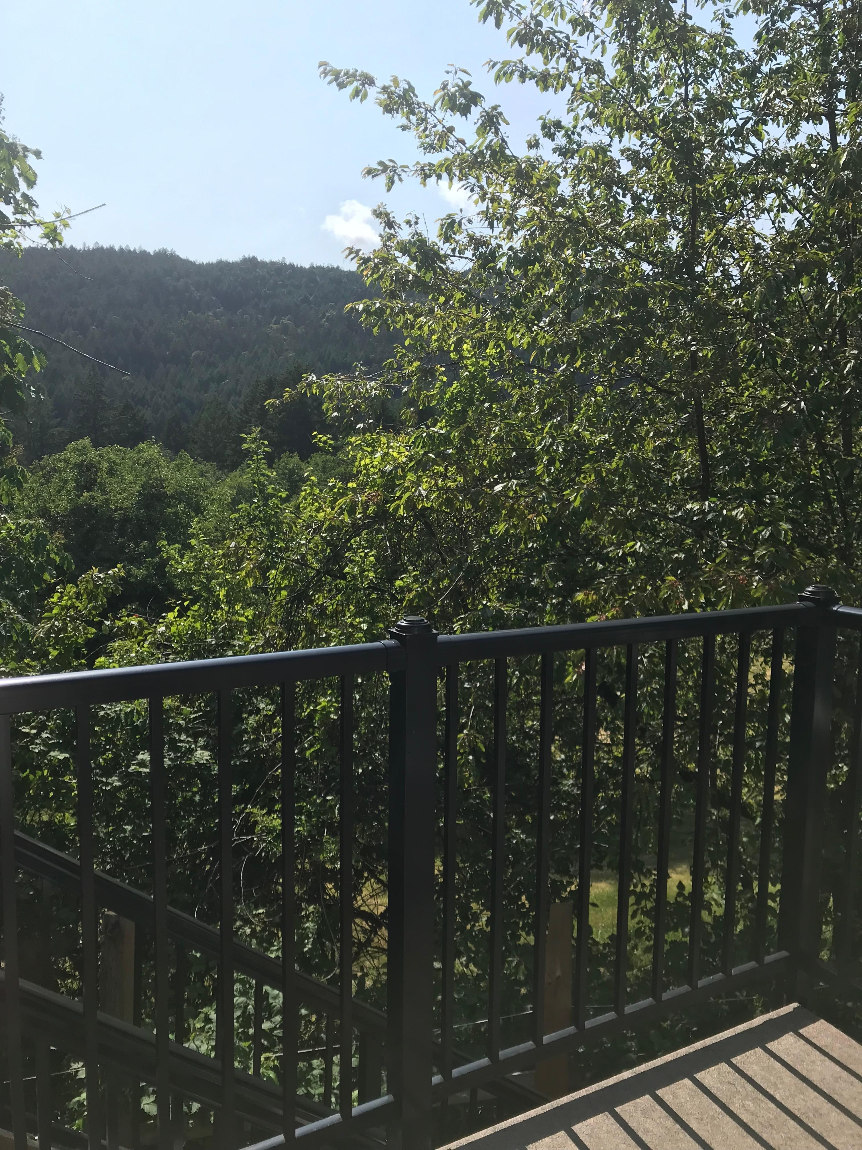 The large deck is a lovely area to enjoy  the beautiful surroundings 